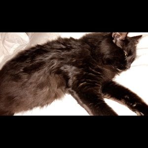 Meet your Posher, Jane